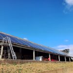 WhatsApp Image 2025-08-06 at 08.45.08(2)