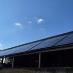 WhatsApp Image 2025-08-06 at 08.45.09